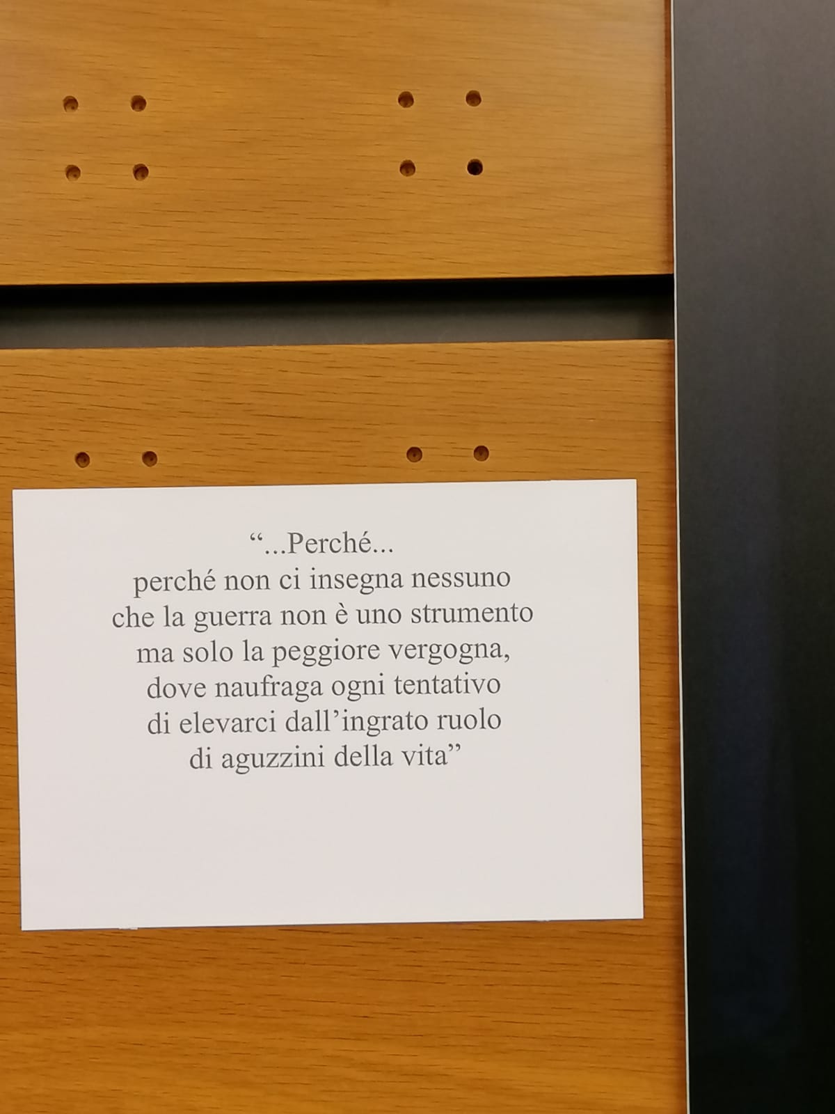 07_mostra