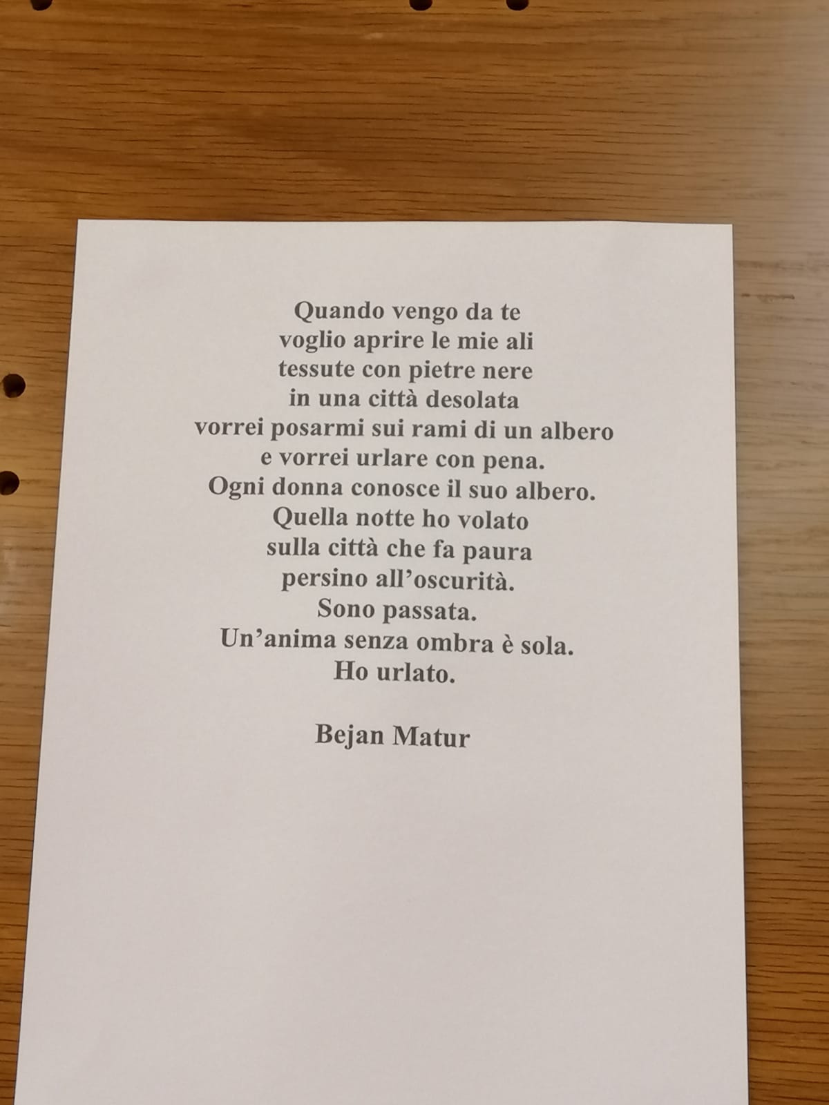 08_mostra